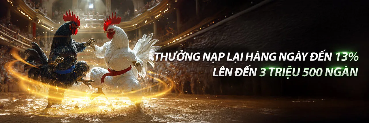 Ứng dụng rich888 trên điện thoại